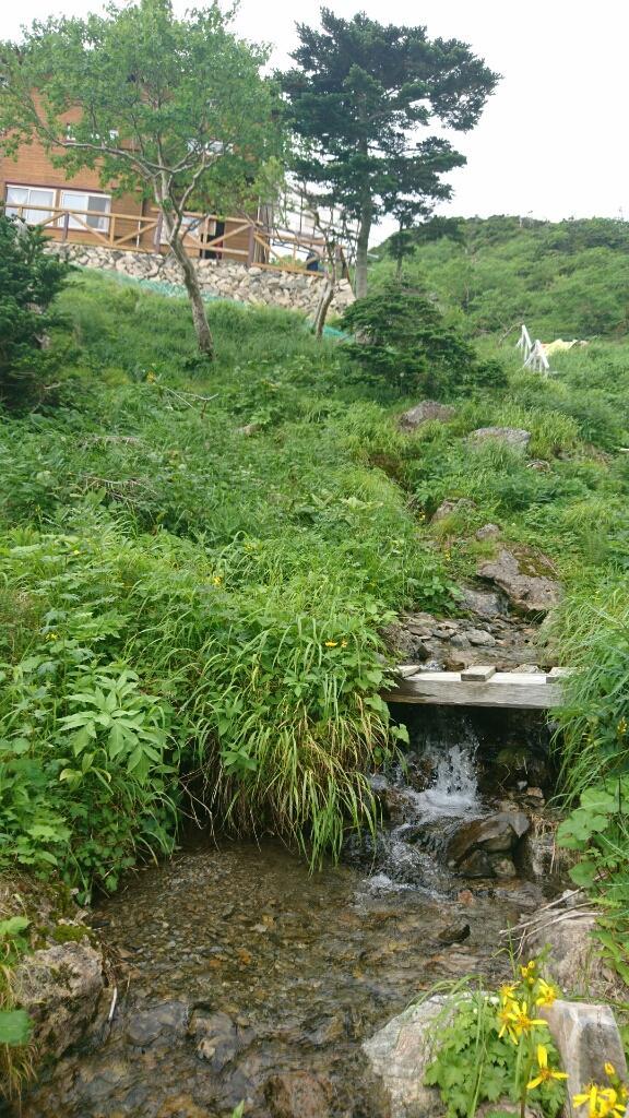 南ア：光岳　1日目（畑薙大吊橋〜茶臼小屋〜上河内岳〜茶臼小屋）_b0148050_08092732.jpg