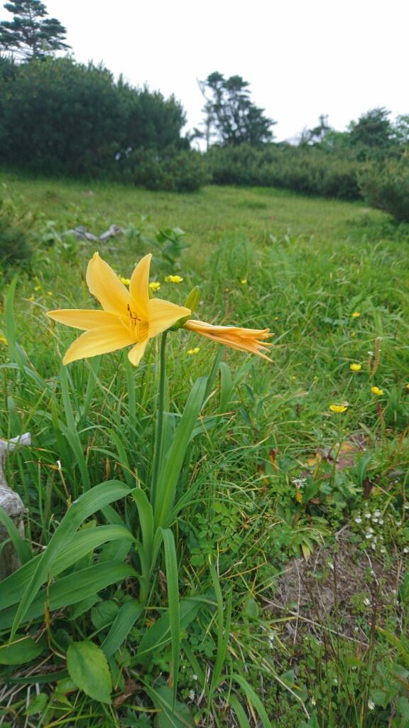 南ア：光岳　1日目（畑薙大吊橋〜茶臼小屋〜上河内岳〜茶臼小屋）_b0148050_14401444.jpg