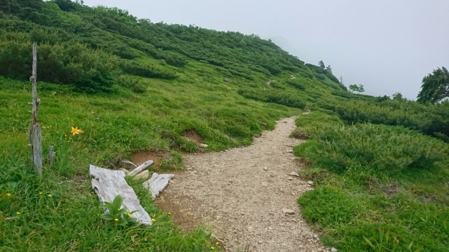 南ア：光岳　1日目（畑薙大吊橋〜茶臼小屋〜上河内岳〜茶臼小屋）_b0148050_14401605.jpg