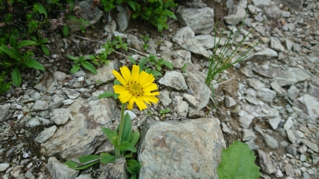 b0148050_14401857.jpg