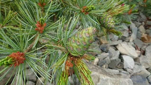 b0148050_18173224.jpg