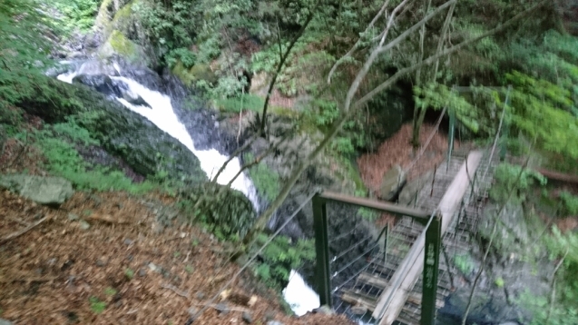 b0148050_18313324.jpg