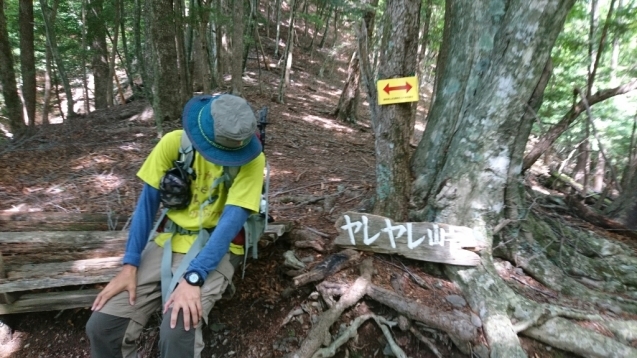 南ア：百高山めぐり／光岳　3日目（茶臼小屋〜畑薙大吊橋）_b0148050_18314098.jpg