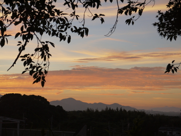 b0243152_20563260.jpg