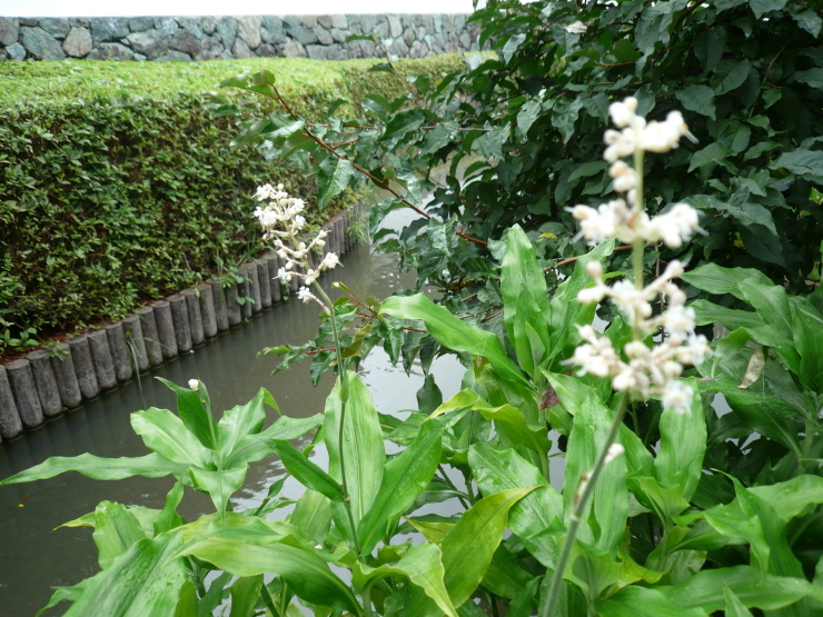 c0043055_11314852.jpg