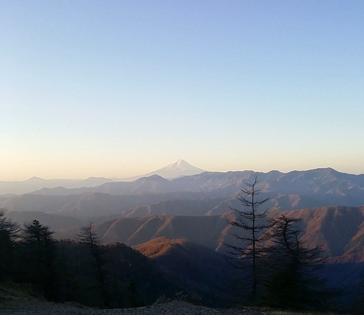 f0198556_22044595.jpeg