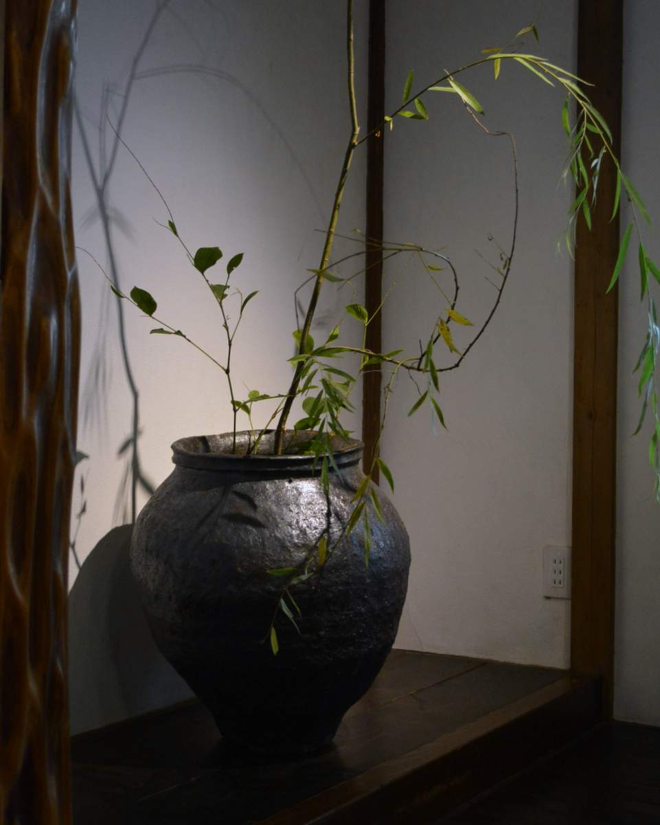 「清水志郎 やきもの展」 7日目-1_d0087761_10505946.jpg