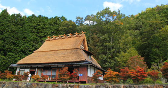 b0120471_22475959.png