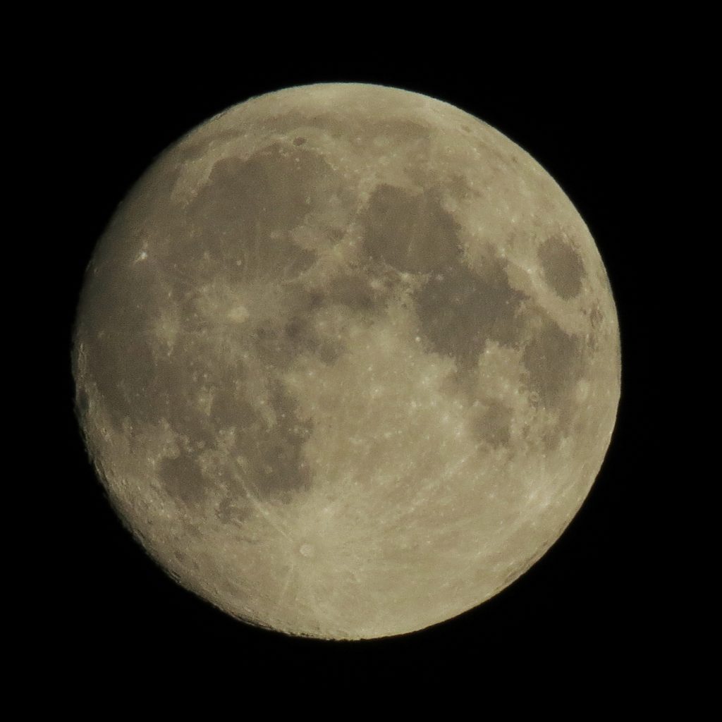 c0183777_5493215.jpg