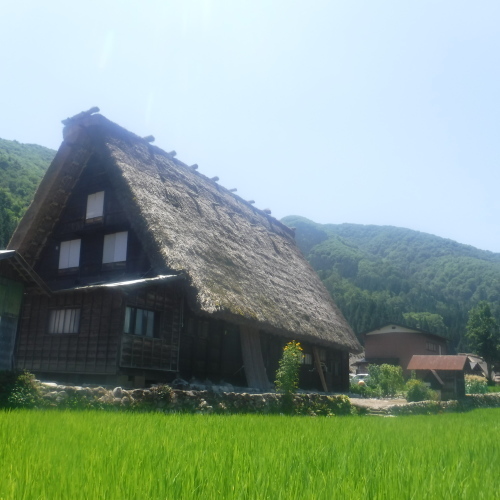 d0174683_03224194.jpeg