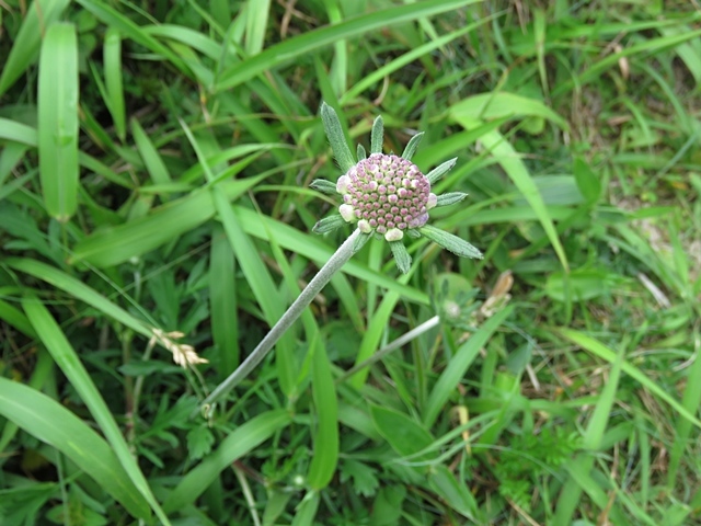 f0357487_22011758.jpg