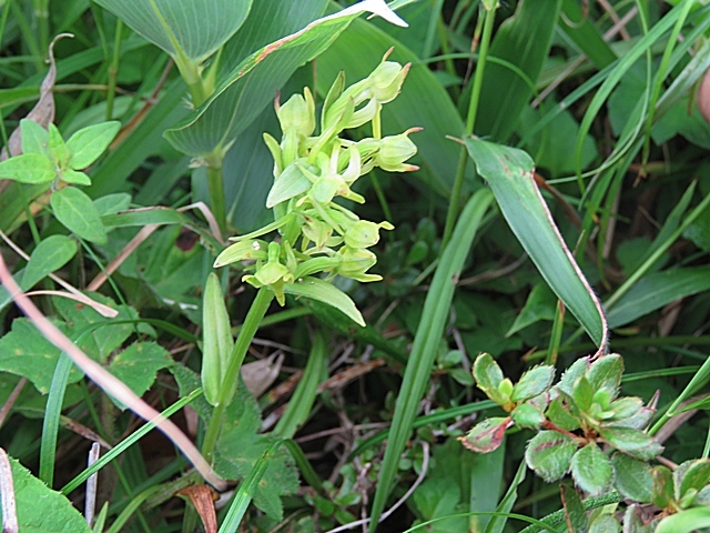 f0357487_22251700.jpg