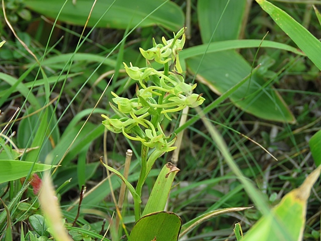f0357487_22265282.jpg