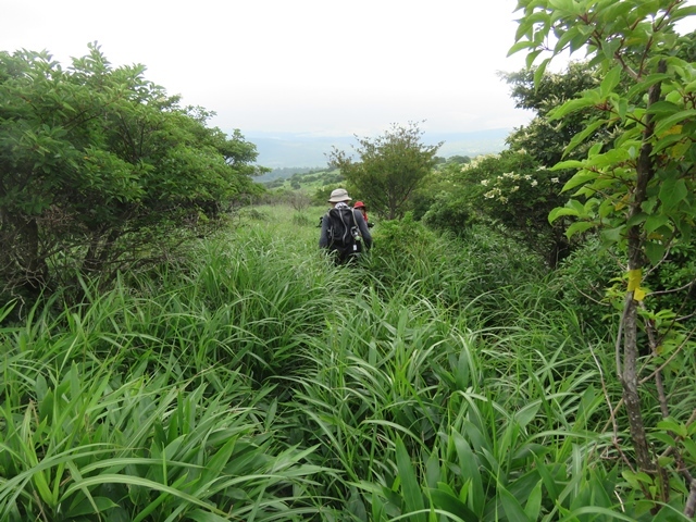 赤川から久住山～扇ヶ鼻～赤川、25日_f0357487_22301497.jpg