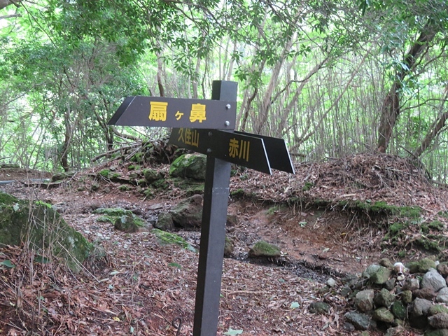 赤川から久住山～扇ヶ鼻～赤川、25日_f0357487_22325534.jpg