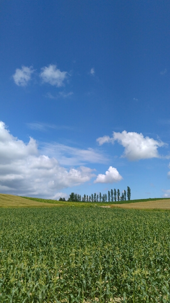 d0318191_17063345.jpg