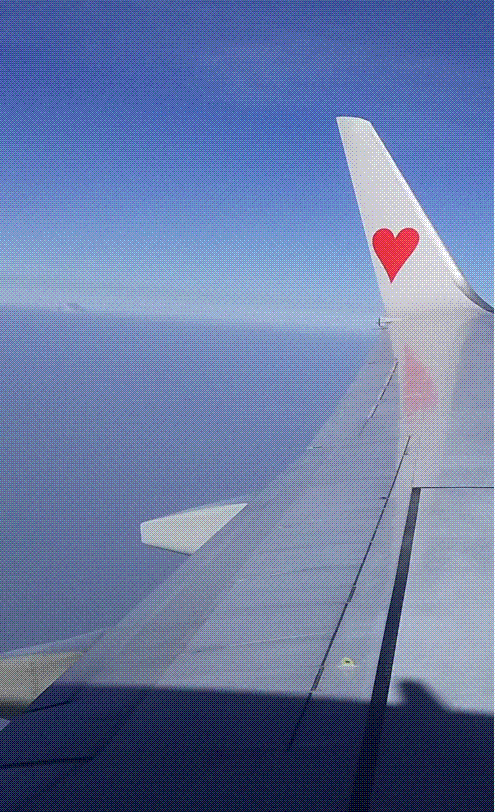 e0199691_01522871.gif