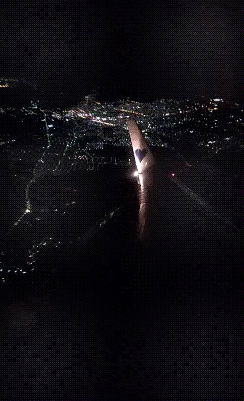 e0199691_01532358.gif