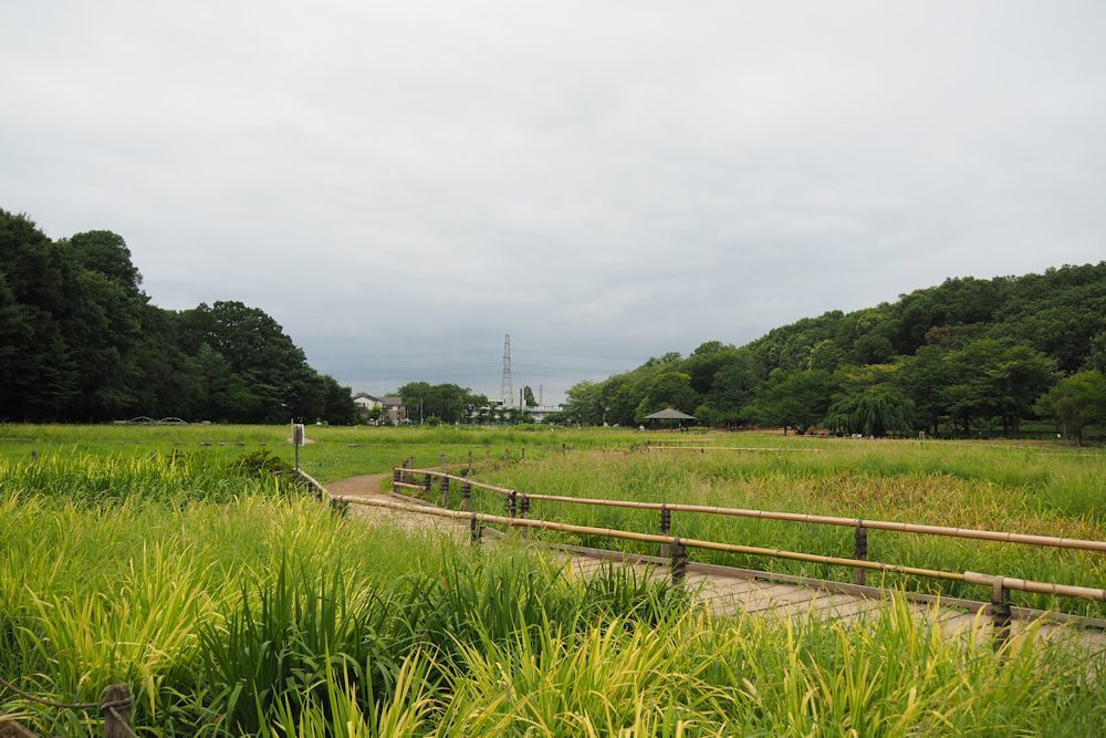 a0278092_20224092.jpg