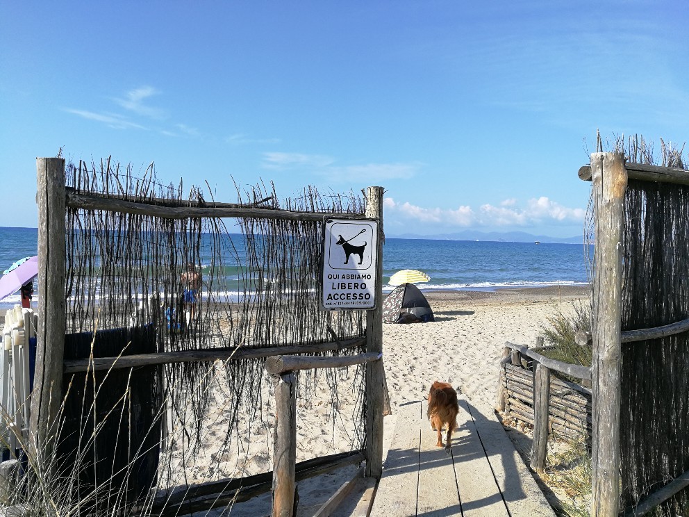 ラーラ初体験!犬専用ドッグビーチ_f0106597_22324739.jpg