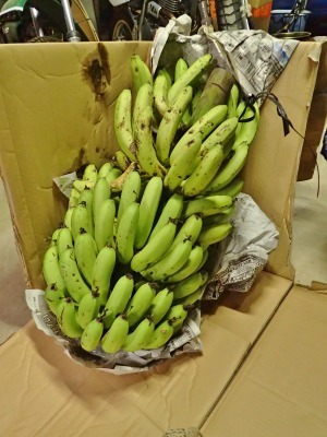 沖縄から島バナナが届きました!_c0336902_16264098.jpg