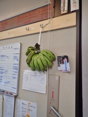 沖縄から島バナナが届きました！_c0336902_16264745.jpg