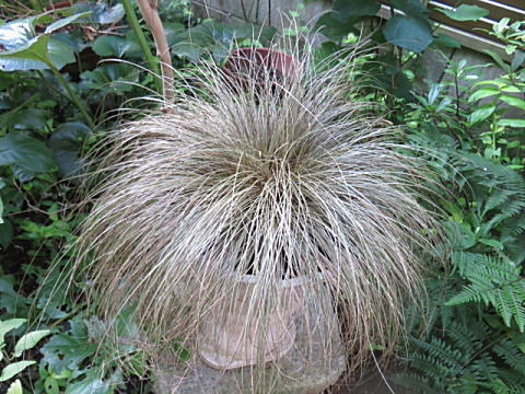 d0046702_07314106.jpg