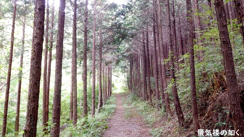 「ヤマノススメサードシーズン」舞台探訪001 東吾野から子ノ権現、山は天覚山のみですが(第3話その1)_e0304702_21293307.jpg