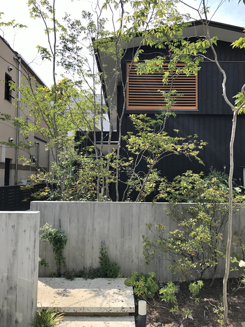昨年完成した甲府の家を訪ねました。_b0014003_10394972.jpg