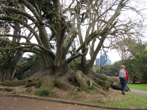c0212604_9234882.jpg