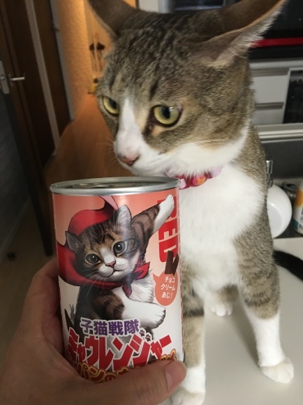c0109109_20180243.jpeg