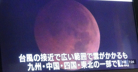 f0231709_15413444.gif