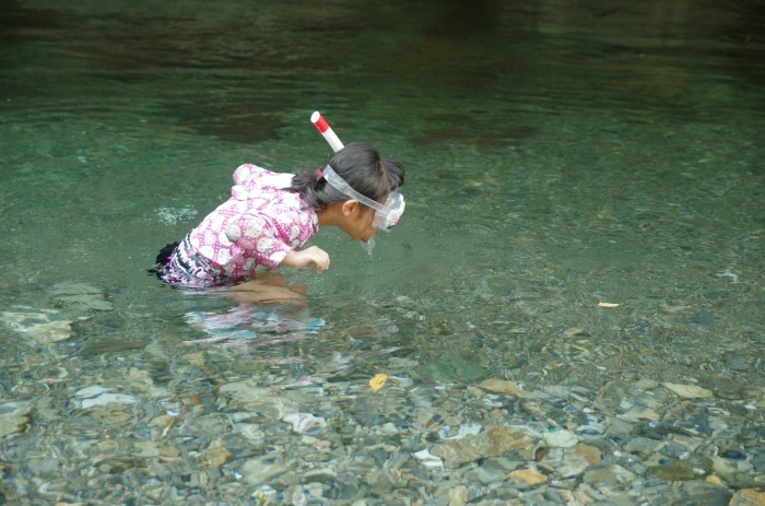 f0195813_11565354.jpg