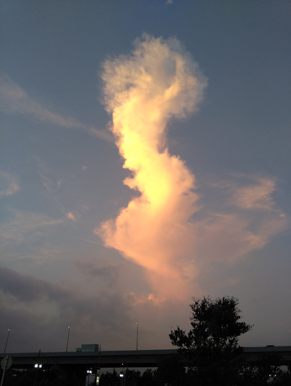 e0083517_01540324.jpg