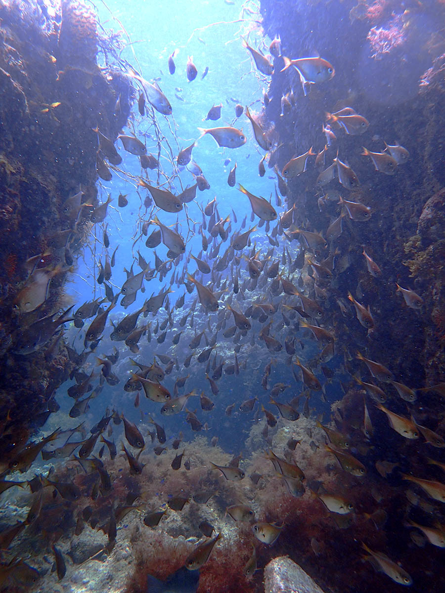 a0059621_16214823.jpg