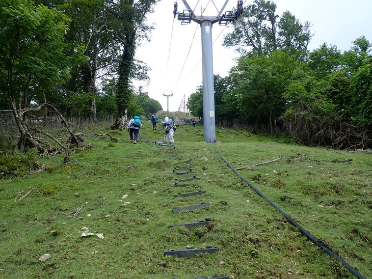f0193521_951639.jpg