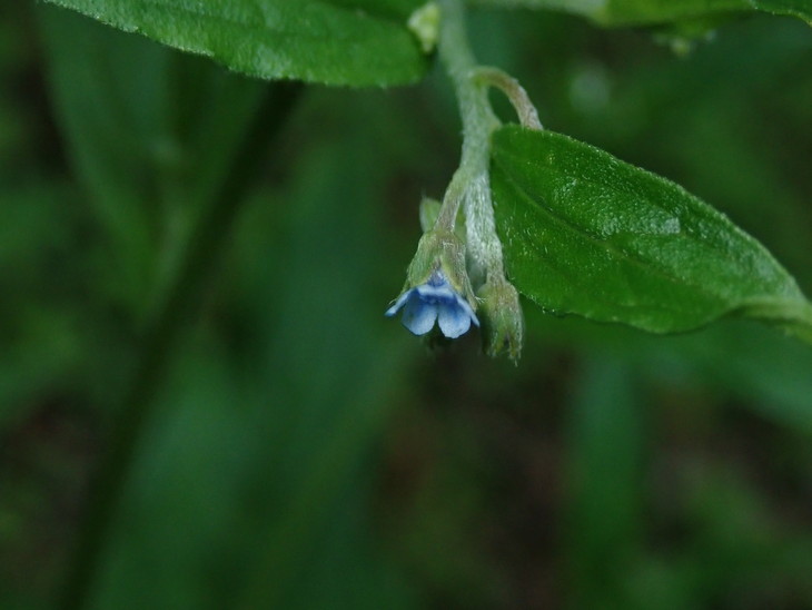 f0193521_973961.jpg