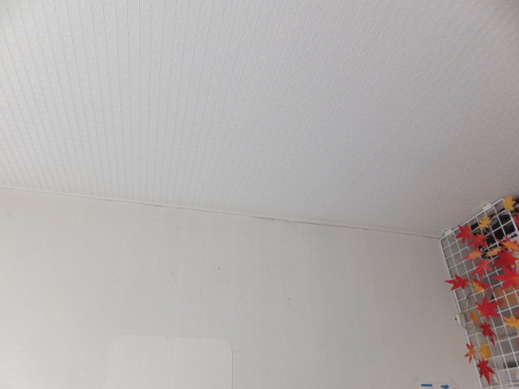 c0191622_03140750.jpg