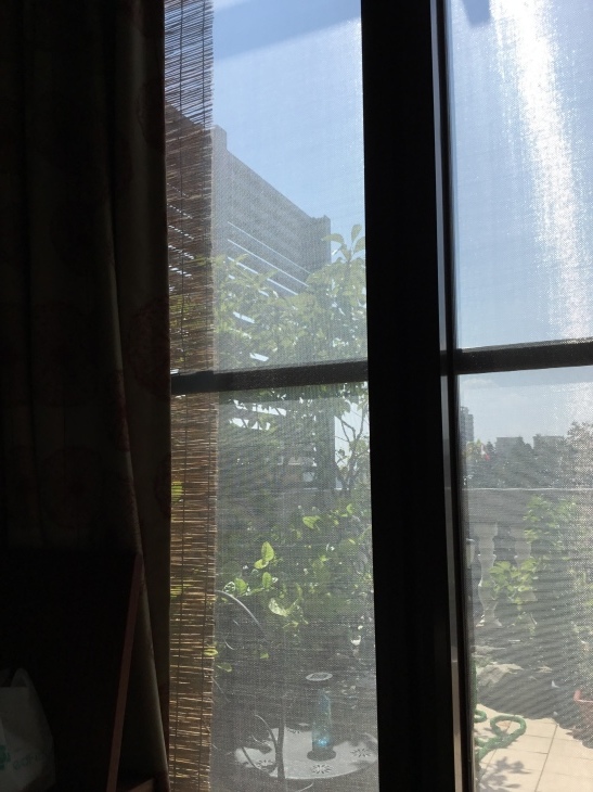 f0057324_11230402.jpeg