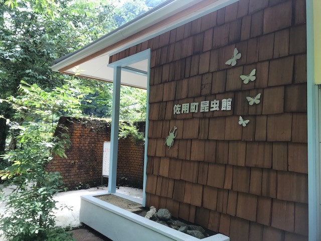 f0177529_10015111.jpeg