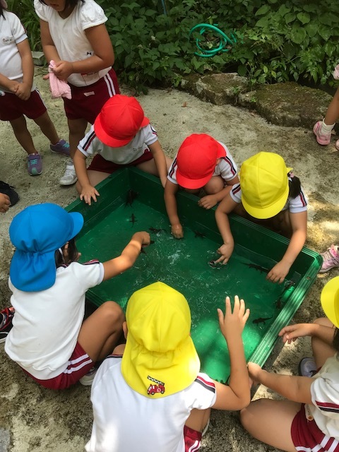 f0177529_19543198.jpeg
