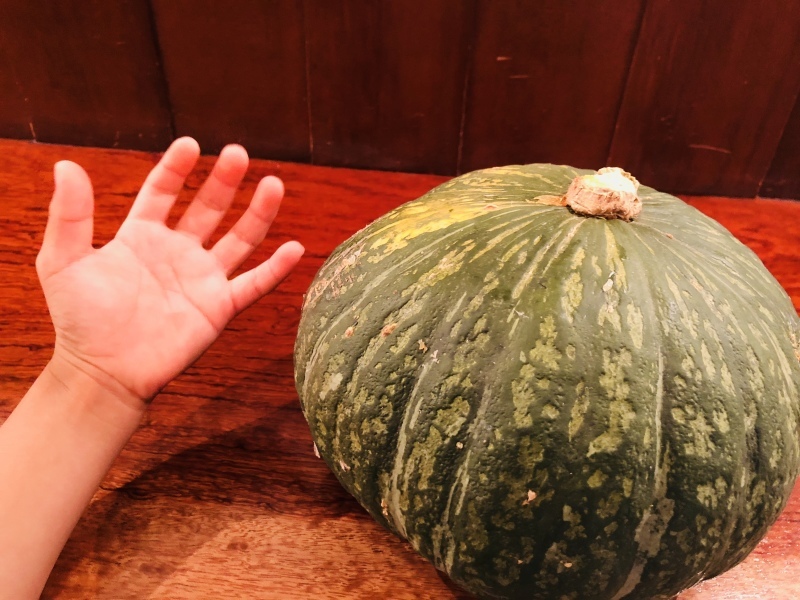 デカイね、ありがたやかぼちゃ。&7月30日(月)のランチメニュー_d0243849_15502035.jpeg