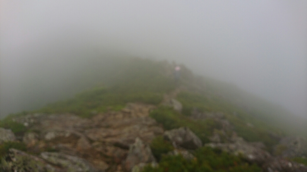 b0148050_10402463.jpg
