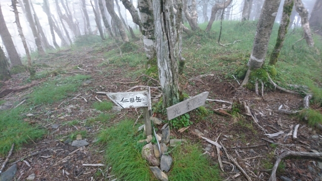 b0148050_10402750.jpg