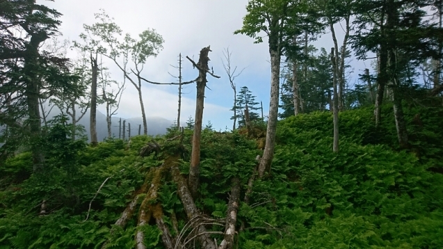 b0148050_10491757.jpg