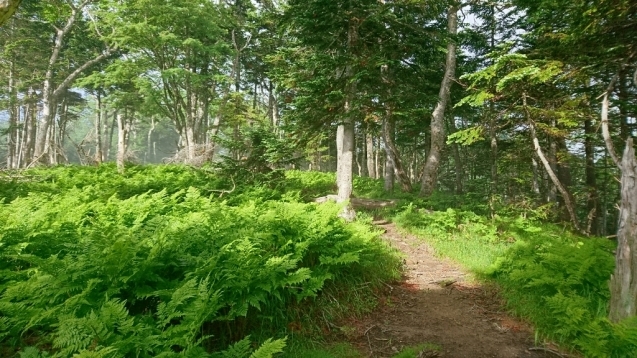 b0148050_10491966.jpg