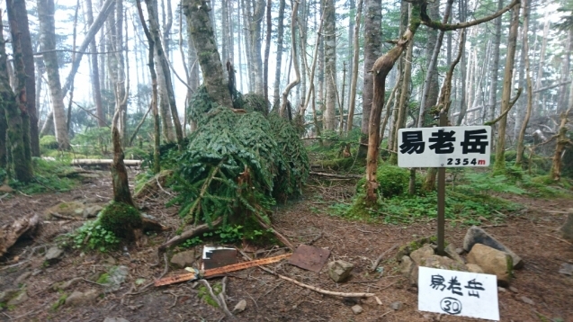 b0148050_10492381.jpg