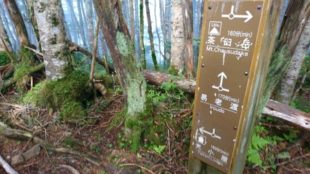 b0148050_10555429.jpg