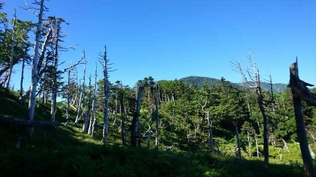 b0148050_10555877.jpg