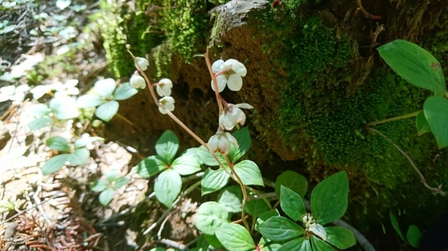 b0148050_11062214.jpg